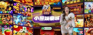 小熊娛樂城