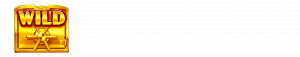 BNG電子搶銀行:集鴻運賠率