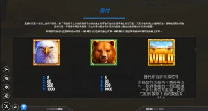 QT電子瘋狂碰撞老虎機賠率