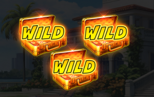 QT忍者vs毒梟電子老虎機遊戲特色WILD百搭符號