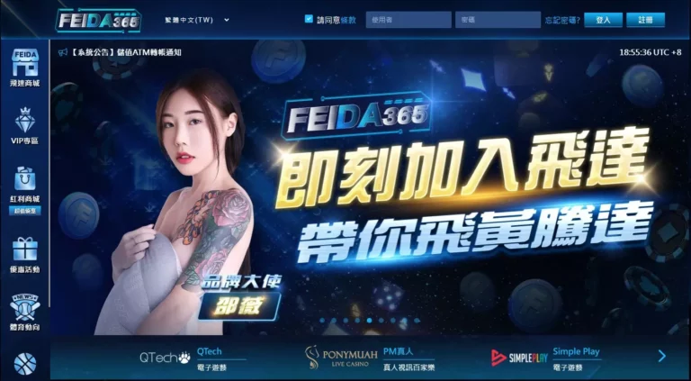 飛達娛樂城玩家的個人資料是否容易被泄露?